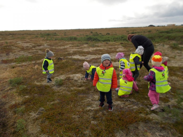 Dvergaheimar - berjamó 2018