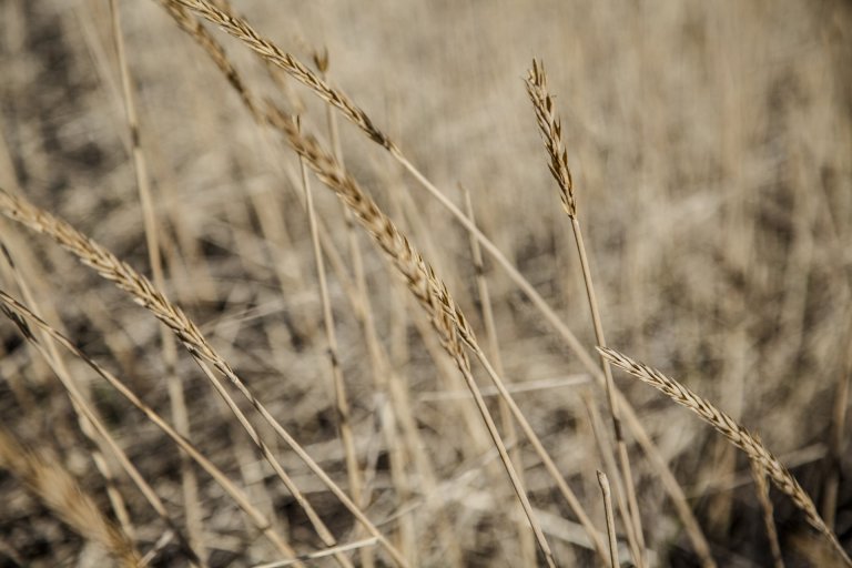 Auglýsing um forkynningu á deiliskipulagstillögum