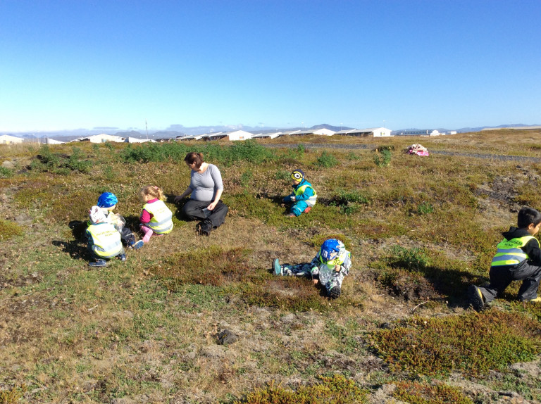 Hulduheimar - berjamó