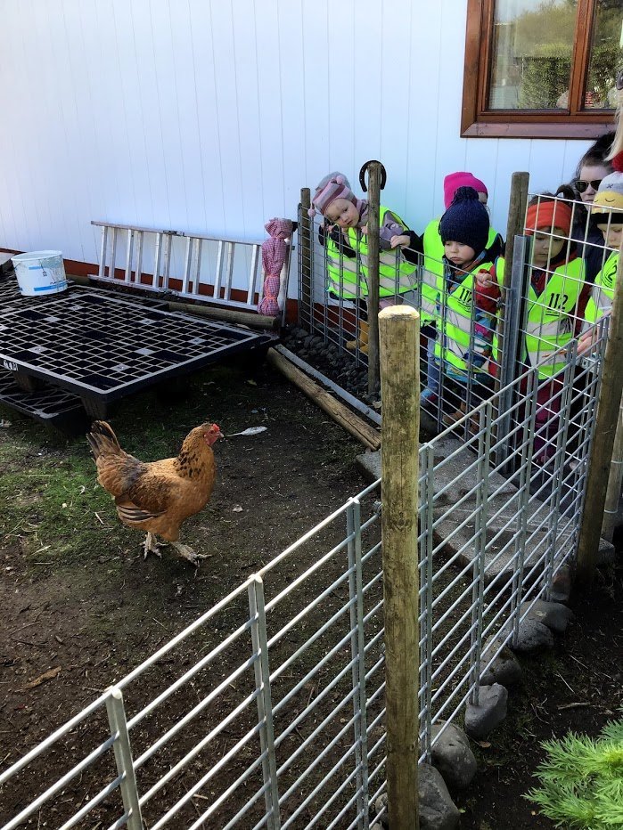 Dvergaheimar - Hænsnaferð 2020