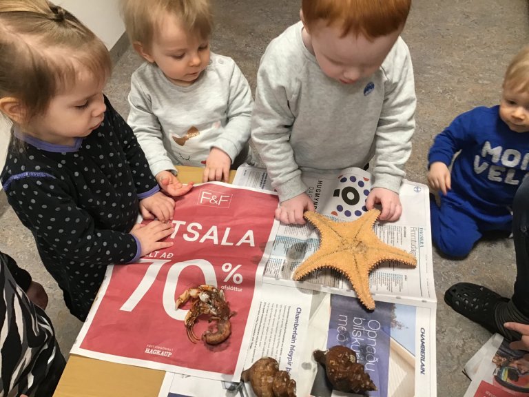 Dvergaheimar - leikur og starf í janúar 2019