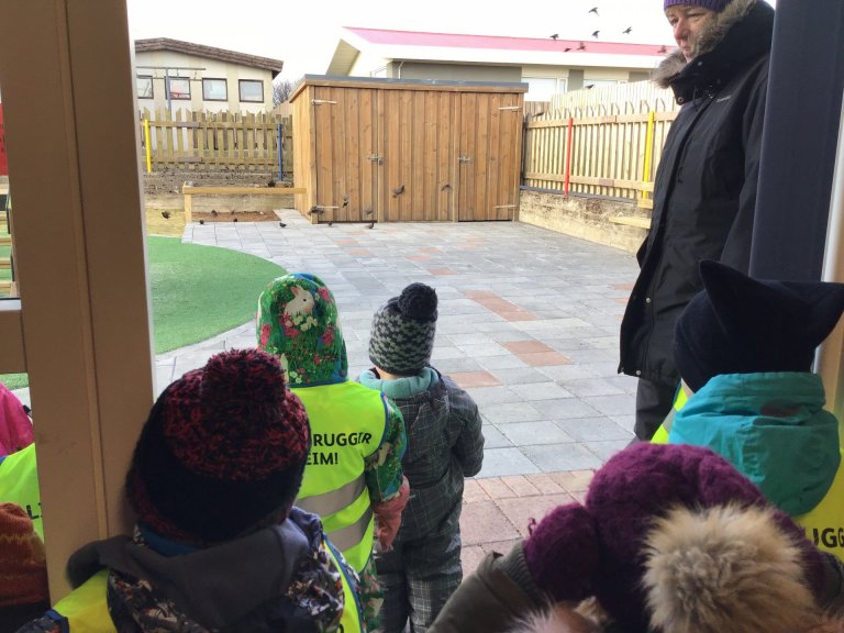 Dvergaheimar - fuglunum gefið fóður