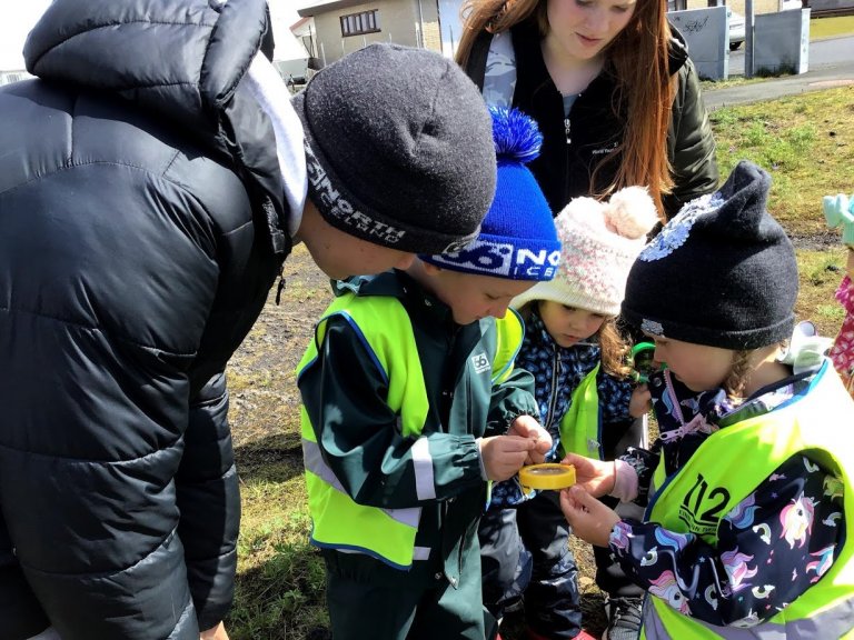 Hulduheimar - skoða pöddur og orma
