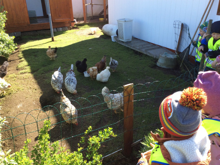 Hulduheimar - hænuferð