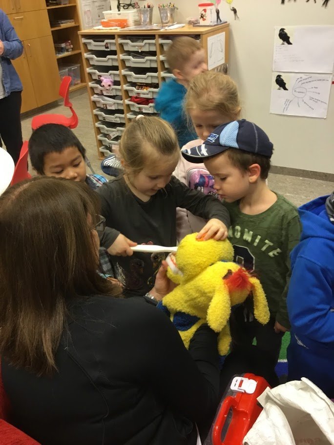 Hulduheimar - Tannverndarvika 2019