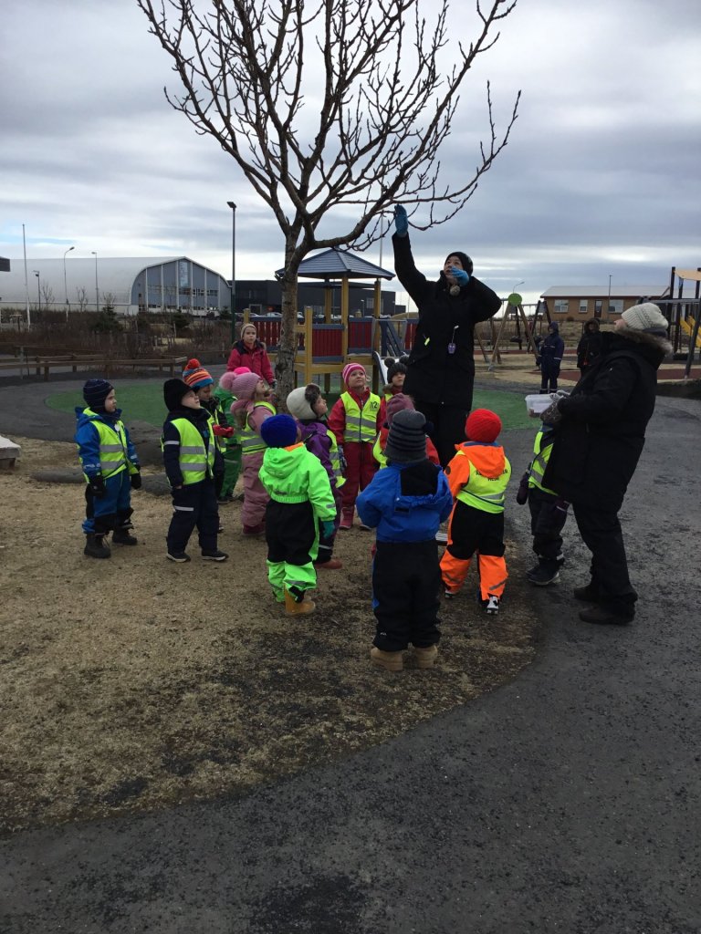 Hulduheimar - Gáfum fuglunum