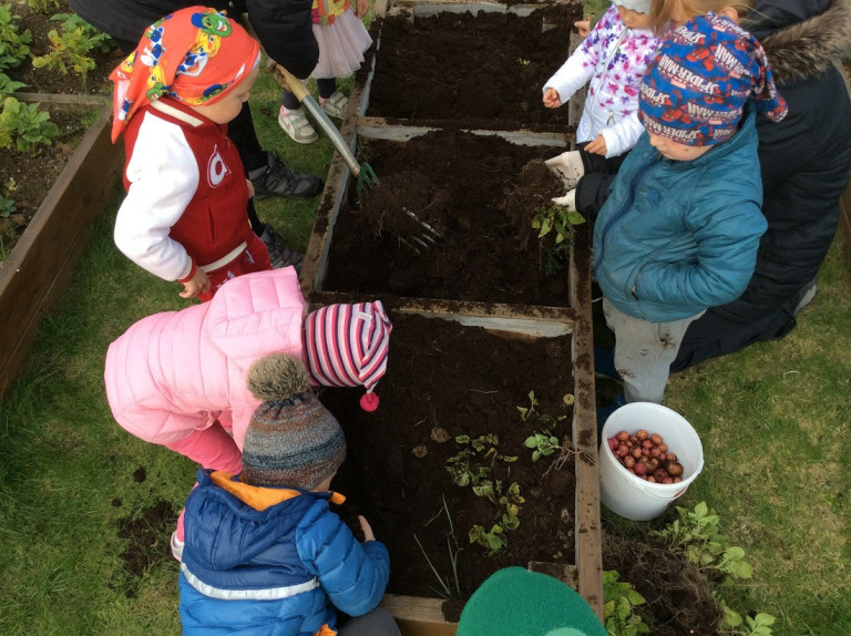 Tröllaheimar - Kartöflur teknar upp