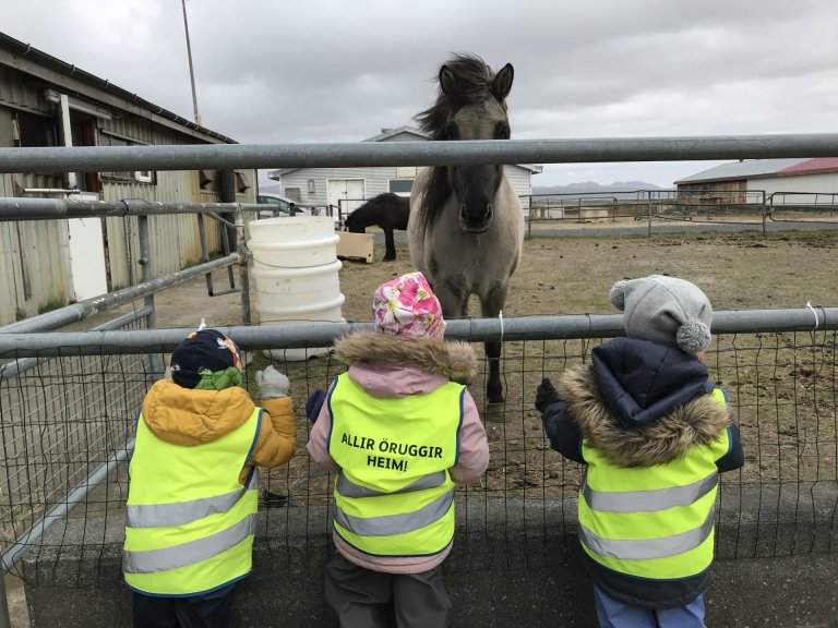 Álfaheimar - gönguferð í hesthúsin 2020