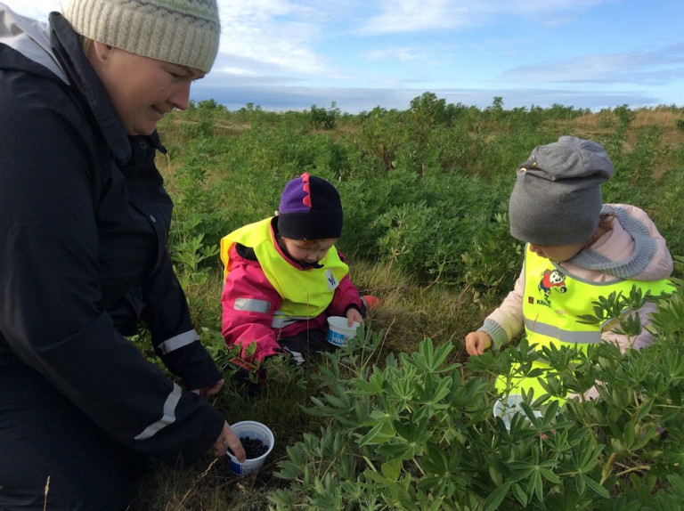 Álfaheimar - berjamó