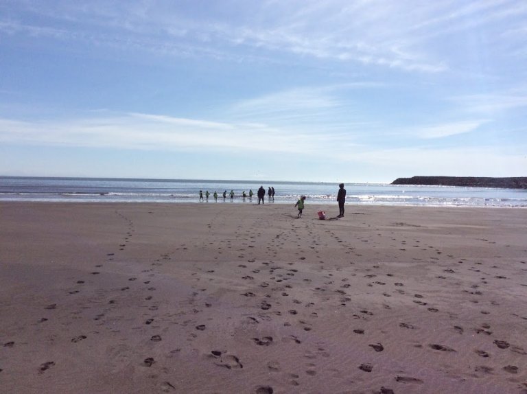 Tröllaheimar - Fjöruferð 2019