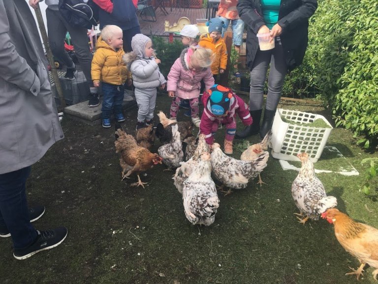 Ásheimar - Hænsnaferð ´19