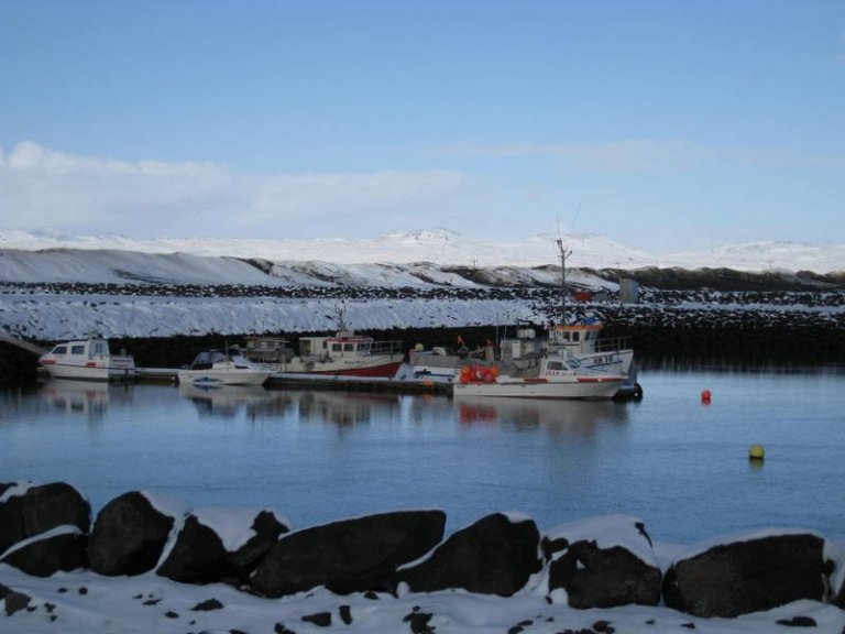 COVID-19 Þorlákshafnarhöfn